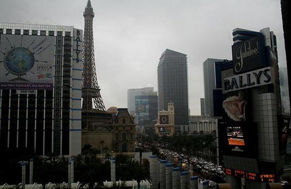 Wednesday Guest Post: Birdie in Vegas!