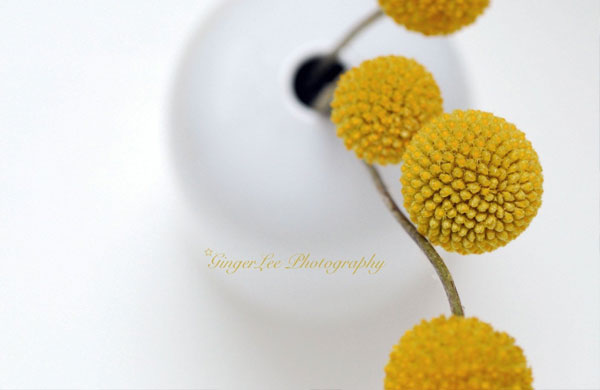 Finding Inspiration Through the Colors of Fall