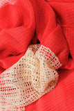 Antoinette Mesh Textured Scarf Coral