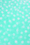 Charlotte Polka Dot Infinity Scarf Mint