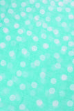 Charlotte Polka Dot Infinity Scarf Mint