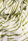 Iris Striped Tassel Scarf Green