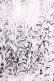 Stella Infinity Scarf-White